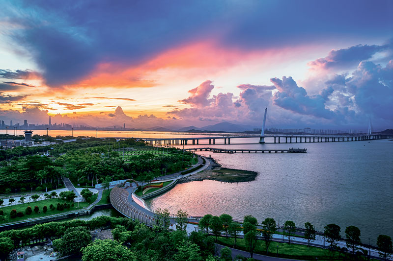 40深圳湾大桥.jpg